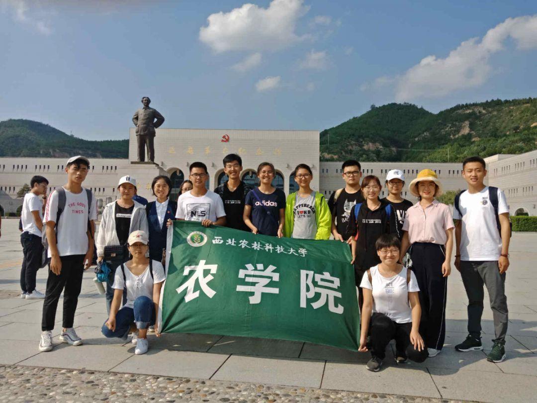 全区医康养项目推进工作会议召开